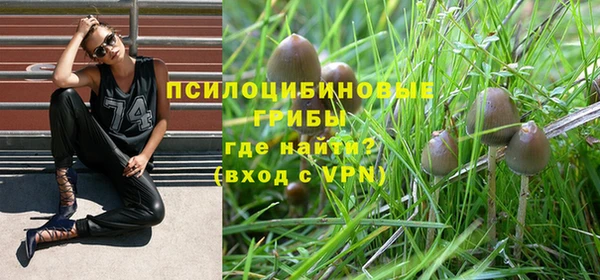 молекула духа Верхний Тагил