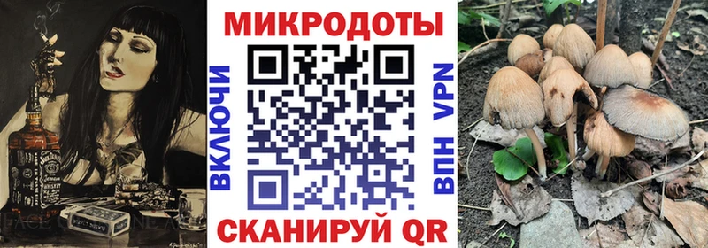 Псилоцибиновые грибы Psilocybe Миллерово